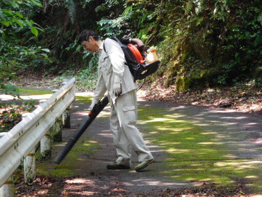 活動写真2