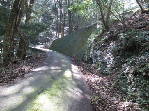 活動写真5