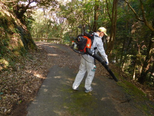 活動写真1