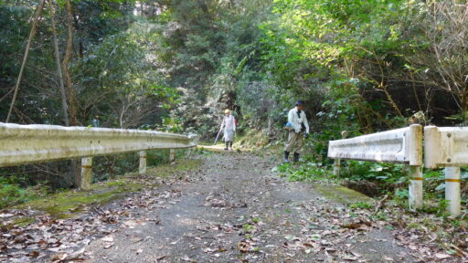活動写真1