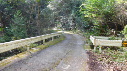 活動写真4