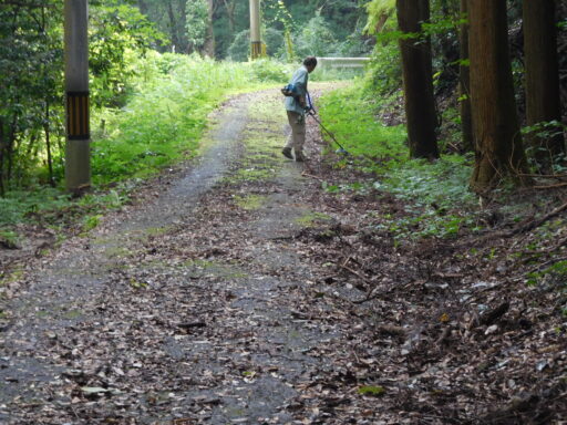 活動写真3