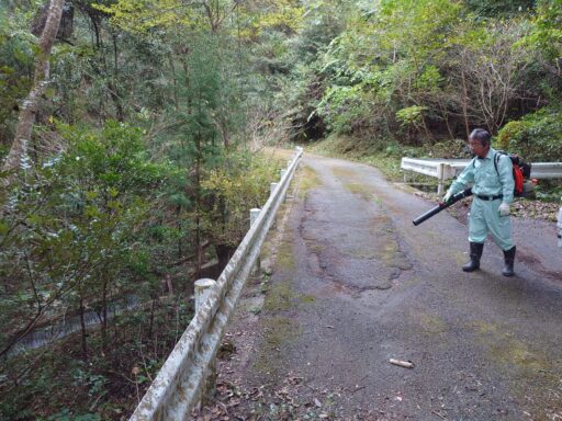 活動写真3