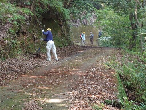活動写真2